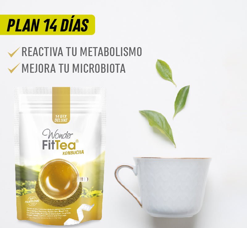 WONDER FIT TEA KOMBUCHA - Nova Oficial - 
